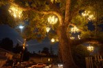 DSC00042